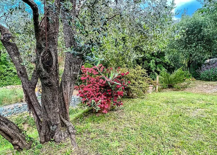 Casetta Nel * Varazze